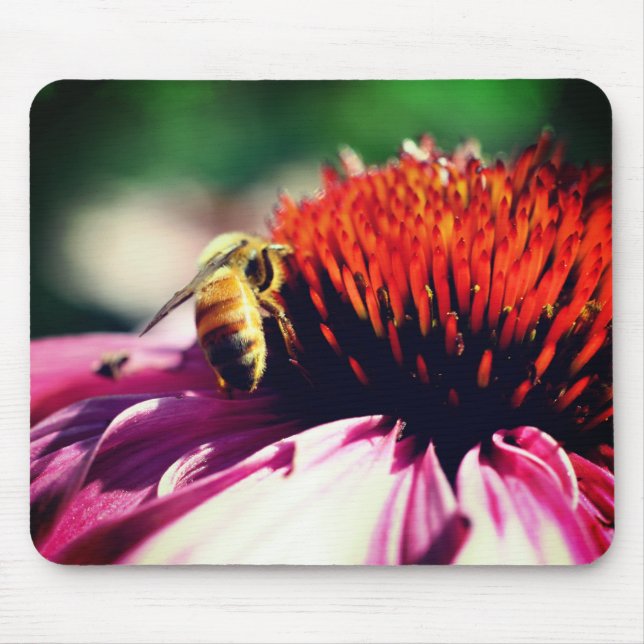 Mousepad Flor Echinacea de Abelhas de Mel Ocupado (Frente)