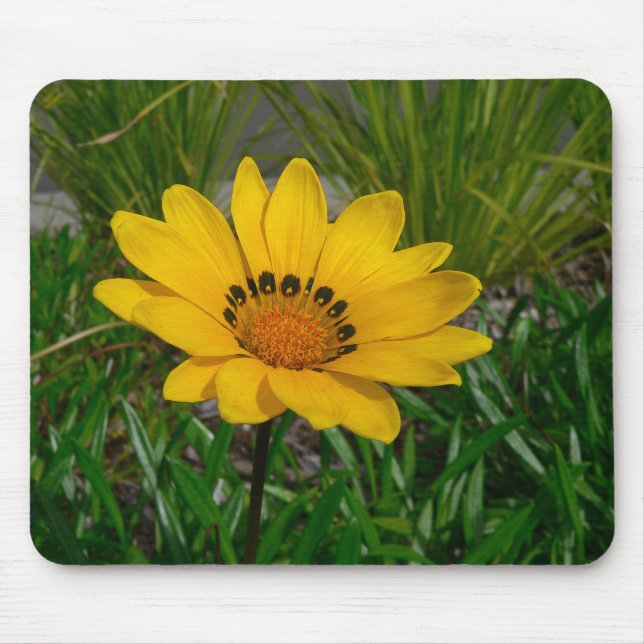 Mousepad Flor Gazania (Frente)