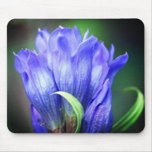 Mousepad Flor Gentil Azul