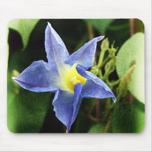 Mousepad Flor Glória da Manhã Azul