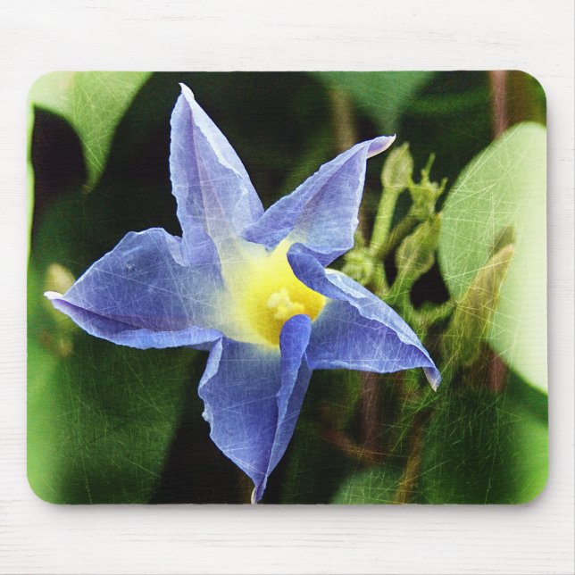 Mousepad Flor Glória da Manhã Azul (Frente)