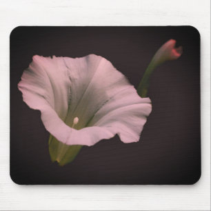 Mousepad Flor Glorioso da Manhã Branca