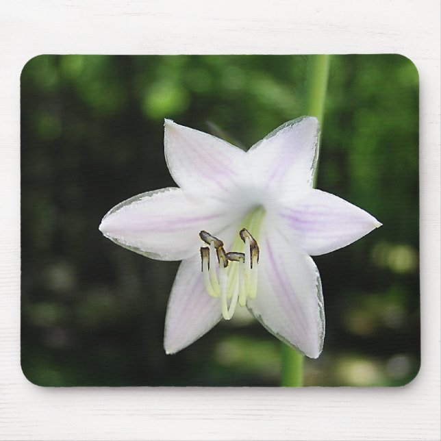 Mousepad Flor Hosta Branco (Frente)