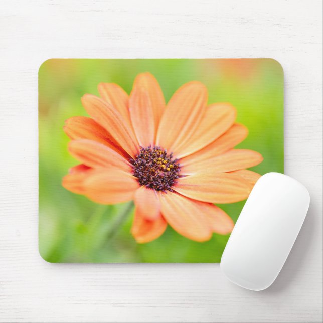 Mousepad Flor Laranja (Com mouse)