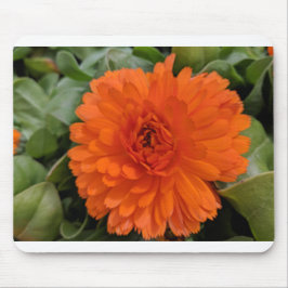 Mousepad Flor Laranja
