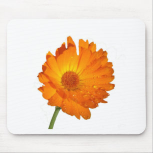 Mousepad - Flor Laranja no Tronco
