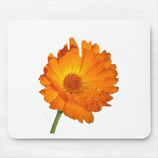 Mousepad - Flor Laranja no Tronco (Frente)