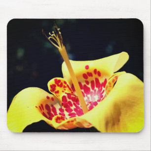 Mousepad Flor Lilar Amarelo Sintado