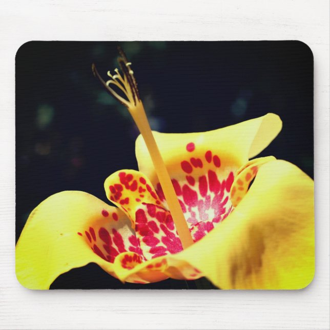 Mousepad Flor Lilar Amarelo Sintado (Frente)