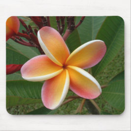 Mousepad Flor Oahu Havaí do Plumeria