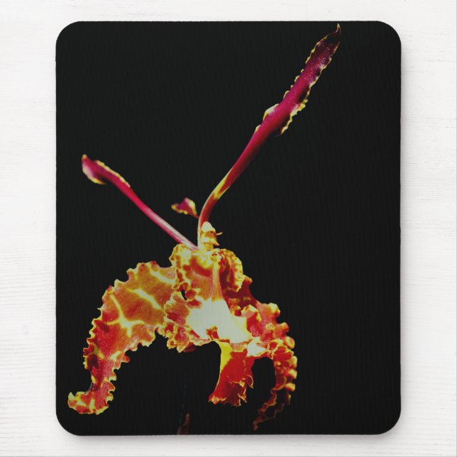 Mousepad Flor Orquídea Laranja rico (Frente)