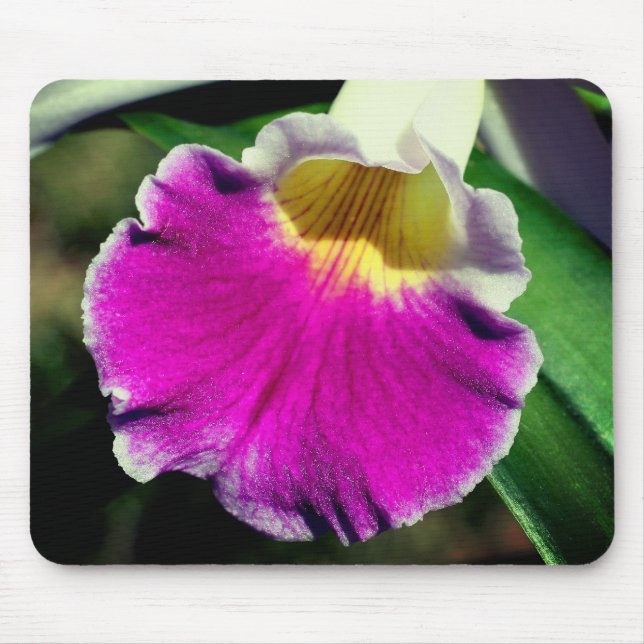 Mousepad Flor Orquídea Roxa (Frente)