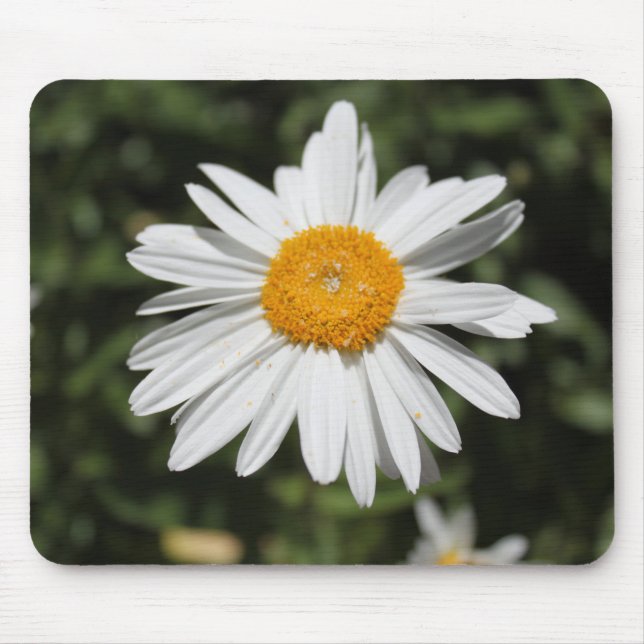 Mousepad flor popular, fotografia bonito de margarida branc (Frente)