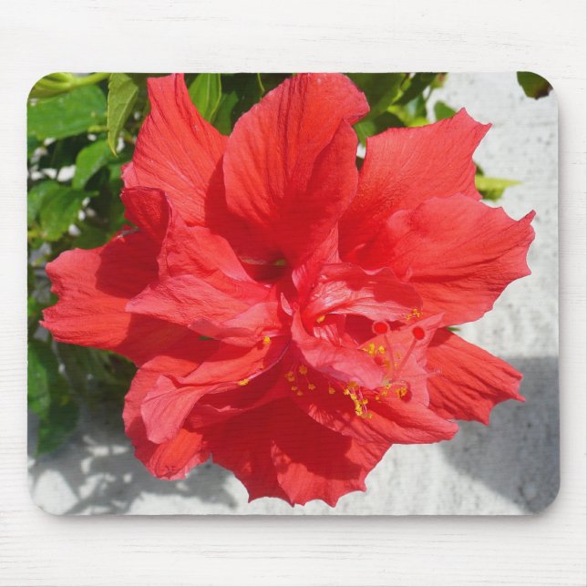 Mousepad Flor Red Double Hibiscus (Frente)