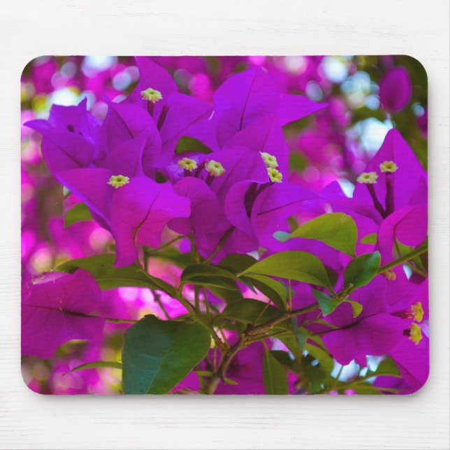 Mousepad Flor Rosa - #1 (Frente)