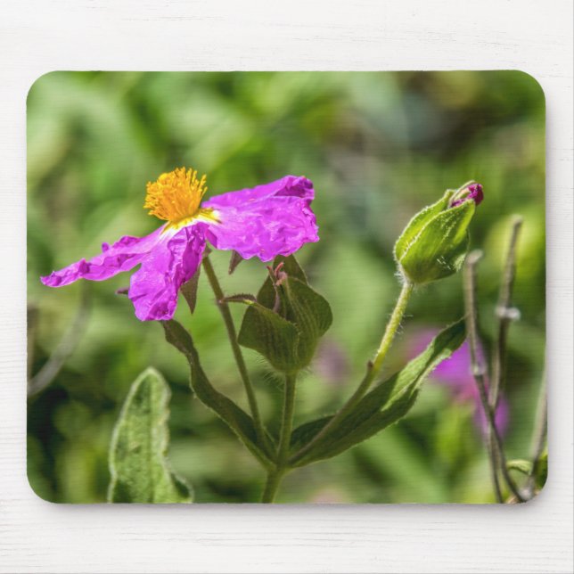 Mousepad Flor rosa 4111 no deserto (Frente)