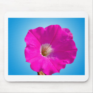Mousepad flor rosa de petúnia em fundo azul.