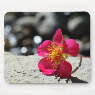 Mousepad Flor Rosa Misteriosa