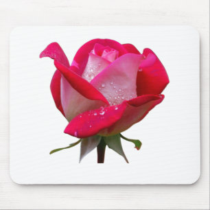 Mousepad flor rosa rosa com gotas d'água vindima floral