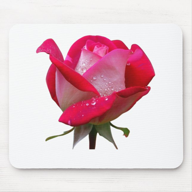 Mousepad flor rosa rosa com gotas d'água vindima floral (Frente)