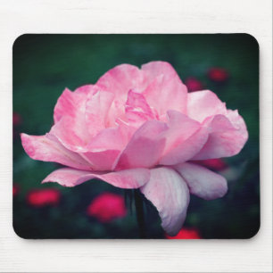 Mousepad Flor Rosa Rosa Forte