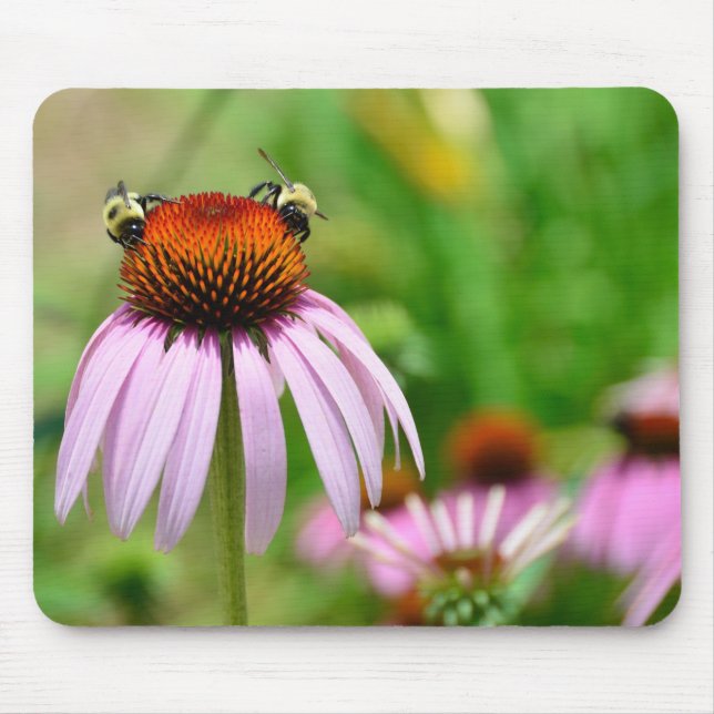Mousepad Flor roxa do cone (Frente)