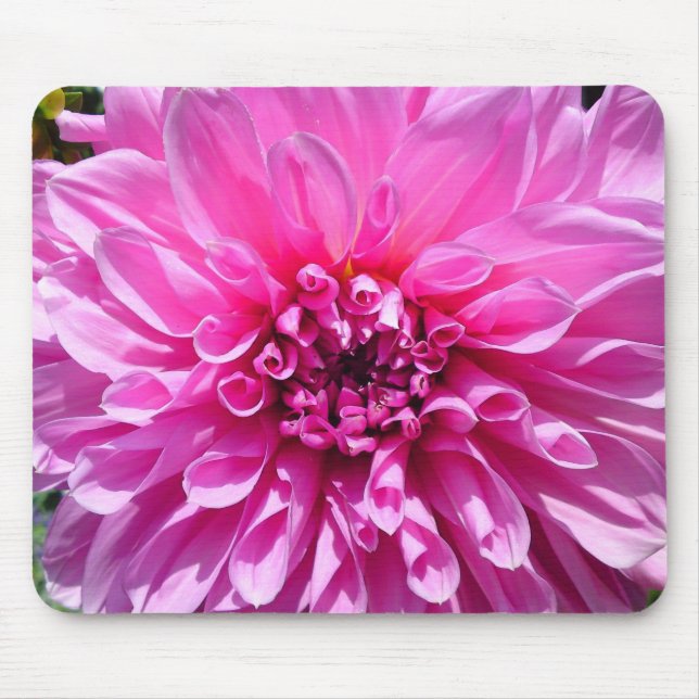Mousepad Flor Roxo Rosa Dahlia (Frente)