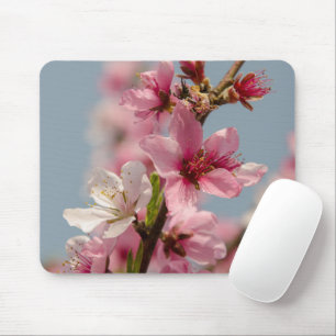 Mousepad Flor Sakura, Flor Japonês Rosa
