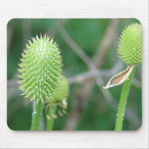 Mousepad Flor selvagem 2