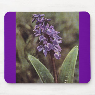 Mousepad Flor Selvagem: Orquídeas Púrpura Precoce