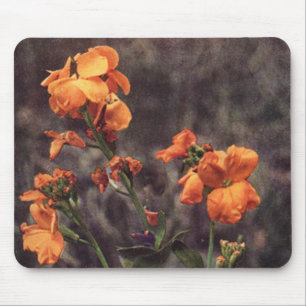 Mousepad Flor selvagem: Wallflower