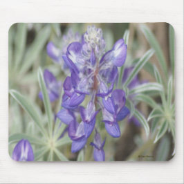 Mousepad Flor Silvestre Roxa Anual Lupino F18