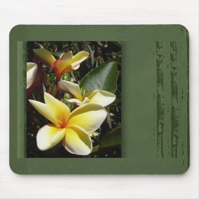 Mousepad Flor tropical amarela do plumeria (Frente)