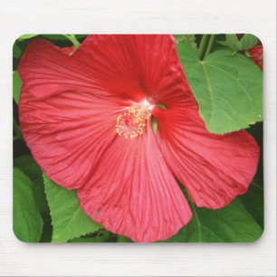 Mousepad Flor Tropical de Hibiscus Rosa