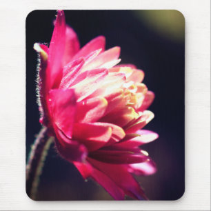 Mousepad Flor Vermelha Luz solar Floral