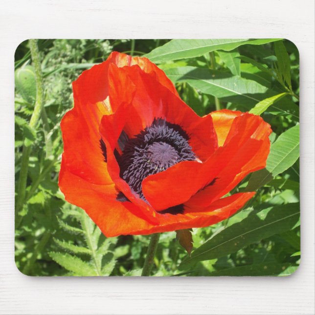 Mousepad Flor Vermelho Brilhante Em Verde (Frente)
