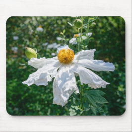Mousepad Floração Delicada da Luz da Floresta