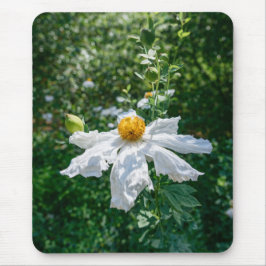 Mousepad Floração Delicada da Luz da Floresta