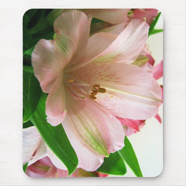 Mousepad Floral (Frente)