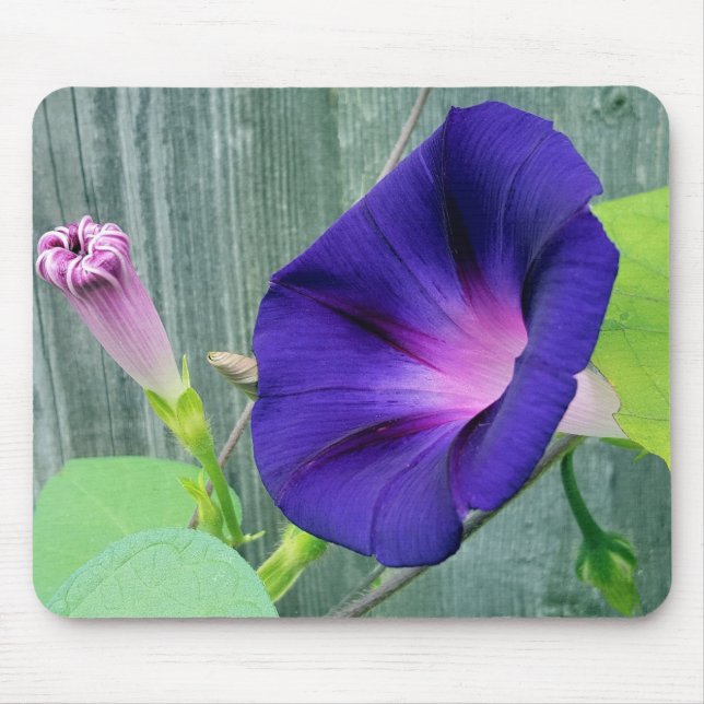 Mousepad Floral (Frente)