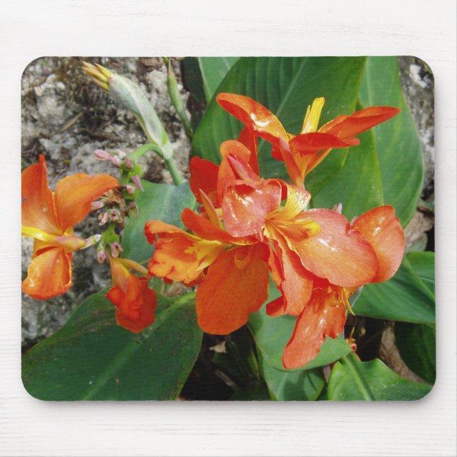 Mousepad floral (Frente)