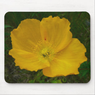 Mousepad Floral de Flor Selvagem de Flor Amarelo do Alasca
