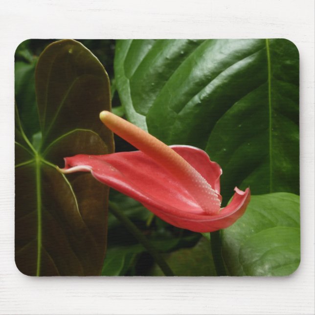 Mousepad Floral rosa Calla Lily Elegante (Frente)