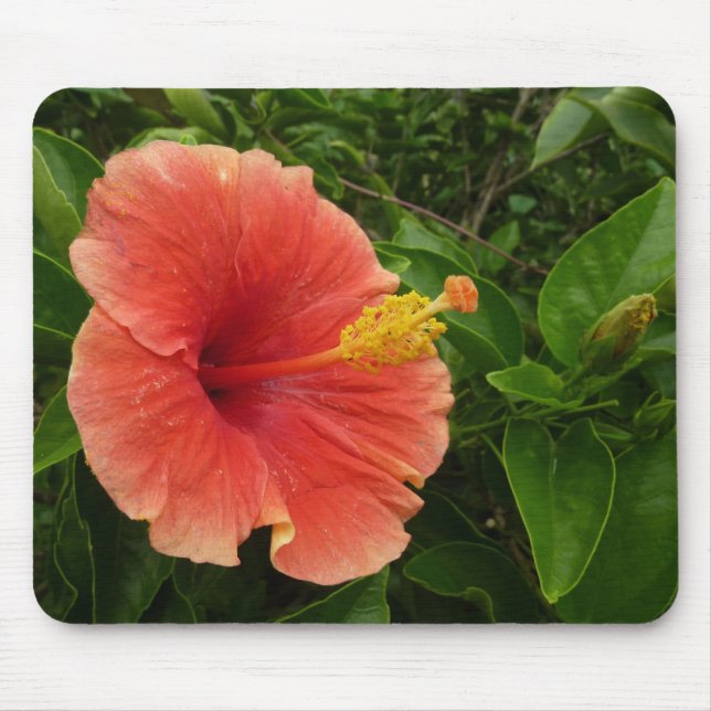 Mousepad Floral Tropical de Laranja Hibiscus (Frente)