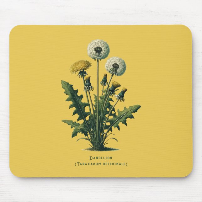 Mousepad Flores Amarelas Antigas de Dente-de-Leão (Frente)