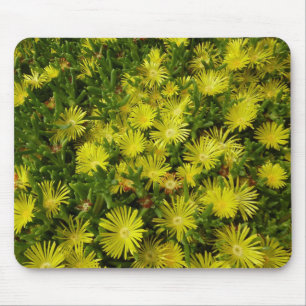 Mousepad Flores Amarelas Da Planta De Gelo ouro