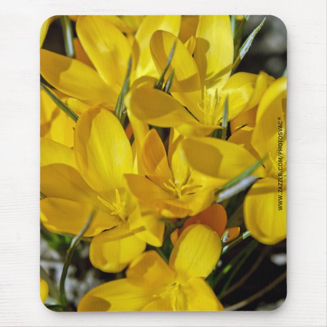 Mousepad Flores Amarelas de Crócus (Frente)