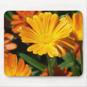 Mousepad Flores Amarelas Flores Arte Paz Destino do Amor