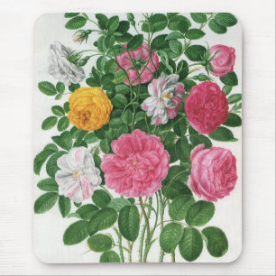 Mousepad Flores Antigas em Flor, Rosas de Jardim da Primave