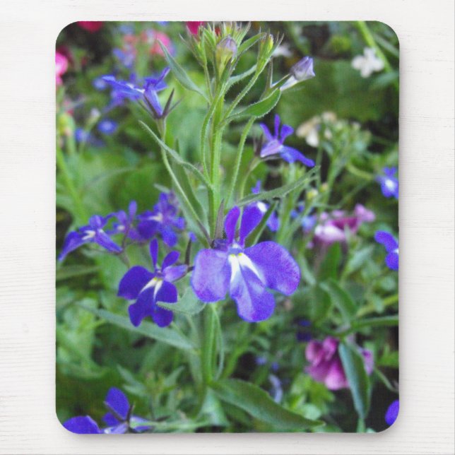 Mousepad flores azuis (Frente)